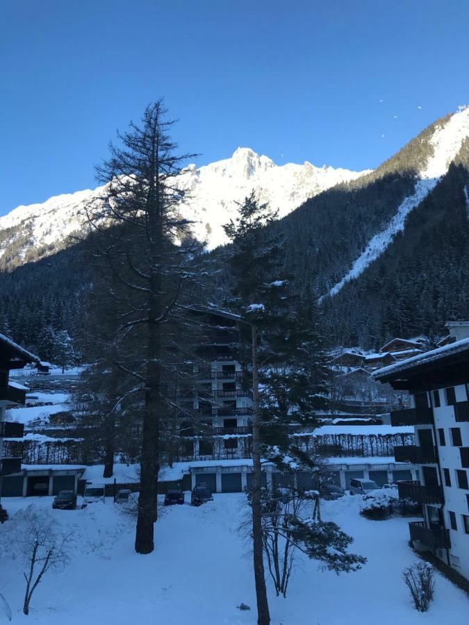 Brevent - Meleze Apartment Chamonix Ngoại thất bức ảnh